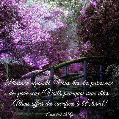 Picture 03 - Exode 5:17 LSG - Pharaon répondit: Vous êtes des paresseux, des - Bible Verse Picture