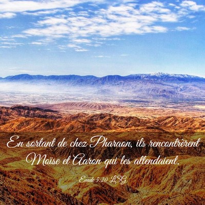 Picture 03 - Exode 5:20 LSG - En sortant de chez Pharaon, ils rencontrèrent - Bible Verse Picture
