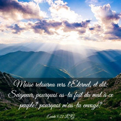 Picture 03 - Exode 5:22 LSG - Moïse retourna vers l'Eternel, et dit: Seigneur, - Bible Verse Picture
