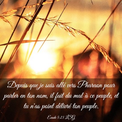Picture 03 - Exode 5:23 LSG - Depuis que je suis allé vers Pharaon pour parler - Bible Verse Picture