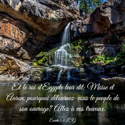 Picture 03 - Exode 5:4 LSG - Et le roi d'Egypte leur dit: Moïse et Aaron, - Bible Verse Picture
