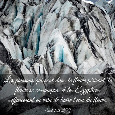 Picture 03 - Exode 7:18 LSG - Les poissons qui sont dans le fleuve périront, - Bible Verse Picture