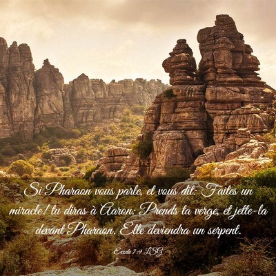Picture 03 - Exode 7:9 LSG - Si Pharaon vous parle, et vous dit: Faites un - Bible Verse Picture
