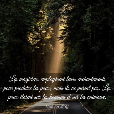 Picture 03 - Exode 8:18 LSG - Les magiciens employèrent leurs enchantements - Bible Verse Picture