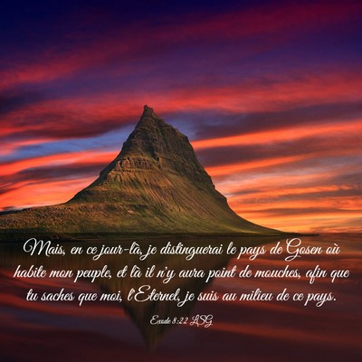 Picture 03 - Exode 8:22 LSG - Mais, en ce jour-là, je distinguerai le pays de - Bible Verse Picture