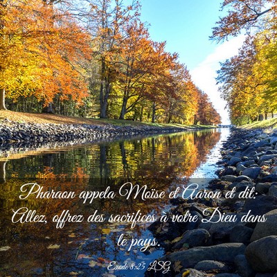 Picture 03 - Exode 8:25 LSG - Pharaon appela Moïse et Aaron et dit: Allez, - Bible Verse Picture