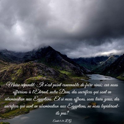 Picture 03 - Exode 8:26 LSG - Moïse répondit: Il n'est point convenable de - Bible Verse Picture