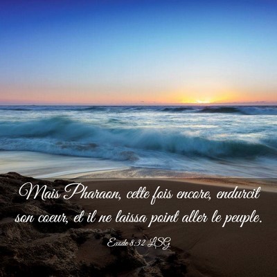 Picture 03 - Exode 8:32 LSG - Mais Pharaon, cette fois encore, endurcit son - Bible Verse Picture