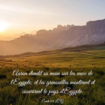 Picture 03 - Exode 8:6 LSG - Aaron étendit sa main sur les eaux de l'Egypte; - Bible Verse Picture
