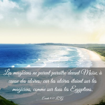 Picture 03 - Exode 9:11 LSG - Les magiciens ne purent paraître devant Moïse, - Bible Verse Picture