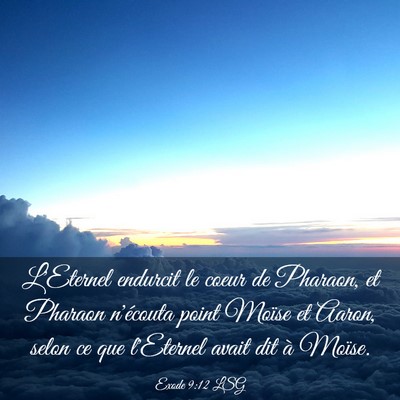 Picture 03 - Exode 9:12 LSG - L'Eternel endurcit le coeur de Pharaon, et - Bible Verse Picture