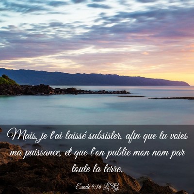 Picture 03 - Exode 9:16 LSG - Mais, je t'ai laissé subsister, afin que tu - Bible Verse Picture