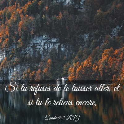Picture 03 - Exode 9:2 LSG - Si tu refuses de le laisser aller, et si tu le - Bible Verse Picture