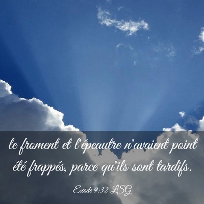Picture 03 - Exode 9:32 LSG - le froment et l'épeautre n'avaient point été - Bible Verse Picture