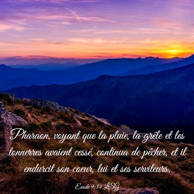 Picture 03 - Exode 9:34 LSG - Pharaon, voyant que la pluie, la grêle et les - Bible Verse Picture