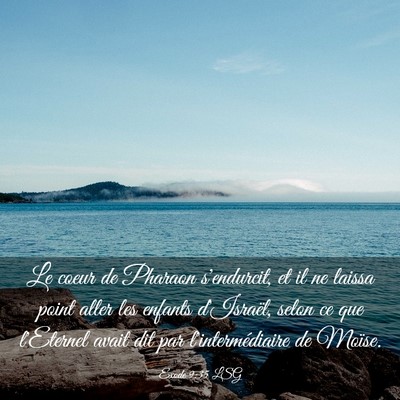 Picture 03 - Exode 9:35 LSG - Le coeur de Pharaon s'endurcit, et il ne laissa - Bible Verse Picture