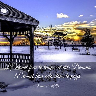 Picture 03 - Exode 9:5 LSG - L'Eternel fixa le temps, et dit: Demain, - Bible Verse Picture