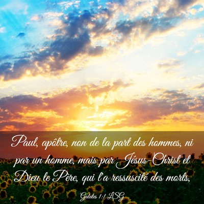 Picture 03 - Galates 1:1 LSG - Paul, apôtre, non de la part des hommes, ni par - Bible Verse Picture
