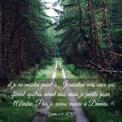 Picture 03 - Galates 1:17 LSG - et je ne montai point à Jérusalem vers ceux qui - Bible Verse Picture
