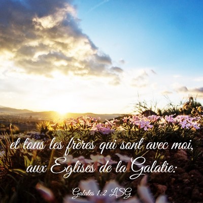 Picture 03 - Galates 1:2 LSG - et tous les frères qui sont avec moi, aux - Bible Verse Picture