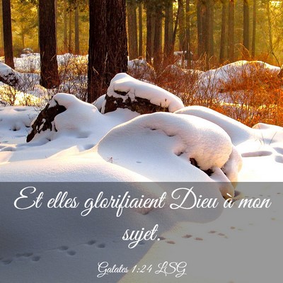 Picture 03 - Galates 1:24 LSG - Et elles glorifiaient Dieu à mon - Bible Verse Picture