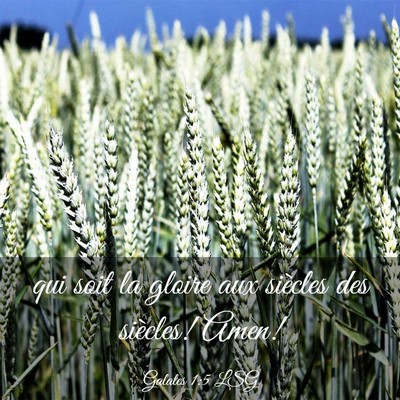 Picture 03 - Galates 1:5 LSG - qui soit la gloire aux siècles des siècles! - Bible Verse Picture