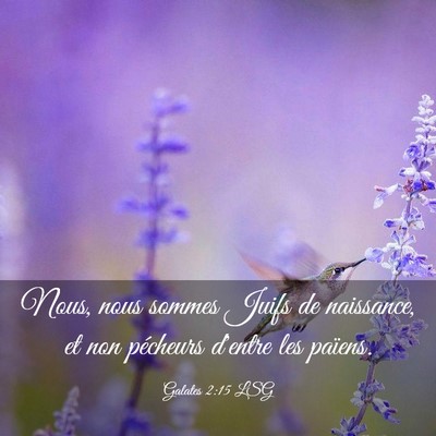 Picture 03 - Galates 2:15 LSG - Nous, nous sommes Juifs de naissance, et non - Bible Verse Picture