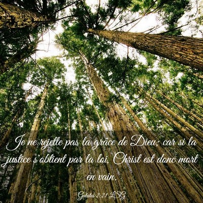 Picture 03 - Galates 2:21 LSG - Je ne rejette pas la grâce de Dieu; car si la - Bible Verse Picture