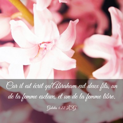 Picture 03 - Galates 4:22 LSG - Car il est écrit qu'Abraham eut deux fils, un de - Bible Verse Picture