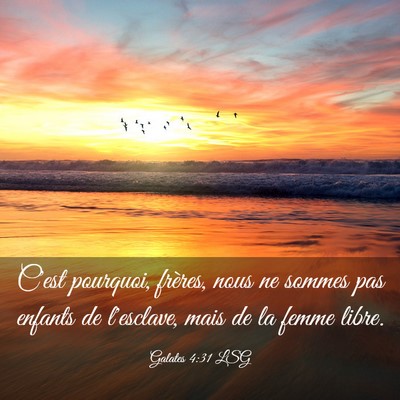 Picture 03 - Galates 4:31 LSG - C'est pourquoi, frères, nous ne sommes pas - Bible Verse Picture