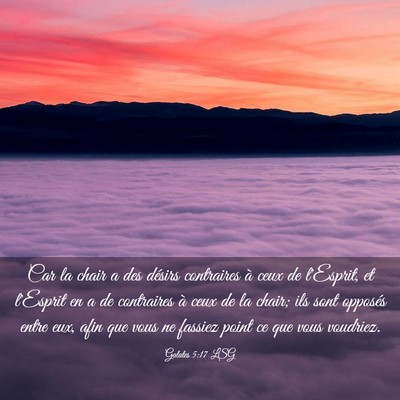 Picture 03 - Galates 5:17 LSG - Car la chair a des désirs contraires à ceux de - Bible Verse Picture