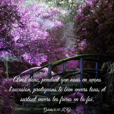 Picture 03 - Galates 6:10 LSG - Ainsi donc, pendant que nous en avons l'occasion, - Bible Verse Picture