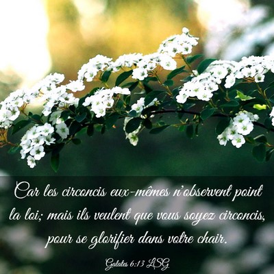 Picture 03 - Galates 6:13 LSG - Car les circoncis eux-mêmes n'observent point la - Bible Verse Picture