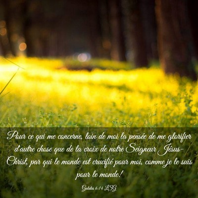 Picture 03 - Galates 6:14 LSG - Pour ce qui me concerne, loin de moi la pensée - Bible Verse Picture