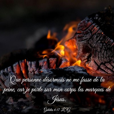Picture 03 - Galates 6:17 LSG - Que personne désormais ne me fasse de la peine, - Bible Verse Picture