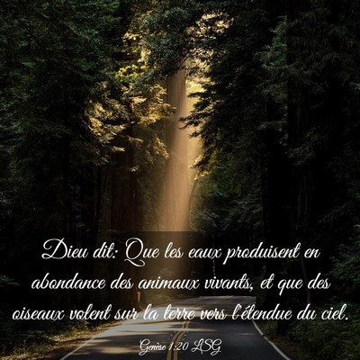 Picture 03 - Genèse 1:20 LSG - Dieu dit: Que les eaux produisent en abondance - Bible Verse Picture
