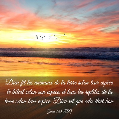 Picture 03 - Genèse 1:25 LSG - Dieu fit les animaux de la terre selon leur - Bible Verse Picture