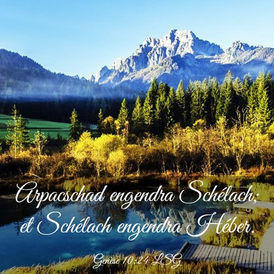 Picture 03 - Genèse 10:24 LSG - Arpacschad engendra Schélach; et Schélach - Bible Verse Picture