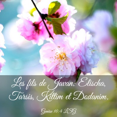 Picture 03 - Genèse 10:4 LSG - Les fils de Javan: Elischa, Tarsis, Kittim et - Bible Verse Picture
