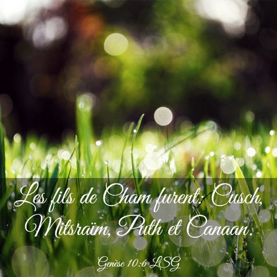 Picture 03 - Genèse 10:6 LSG - Les fils de Cham furent: Cusch, Mitsraïm, Puth - Bible Verse Picture