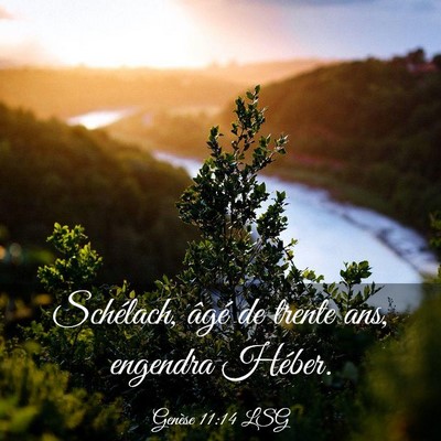 Picture 03 - Genèse 11:14 LSG - Schélach, âgé de trente ans, engendra - Bible Verse Picture