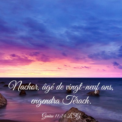 Picture 03 - Genèse 11:24 LSG - Nachor, âgé de vingt-neuf ans, engendra - Bible Verse Picture