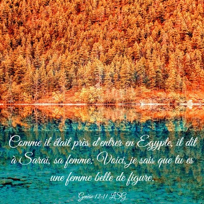 Picture 03 - Genèse 12:11 LSG - Comme il était près d'entrer en Egypte, il dit - Bible Verse Picture