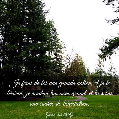 Picture 03 - Genèse 12:2 LSG - Je ferai de toi une grande nation, et je te - Bible Verse Picture