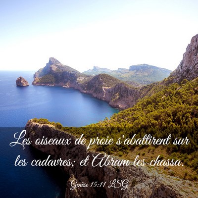 Picture 03 - Genèse 15:11 LSG - Les oiseaux de proie s'abattirent sur les - Bible Verse Picture