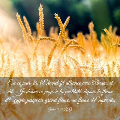 Picture 03 - Genèse 15:18 LSG - En ce jour-là, l'Eternel fit alliance avec - Bible Verse Picture