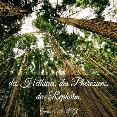 Picture 03 - Genèse 15:20 LSG - des Héthiens, des Phéréziens, des - Bible Verse Picture