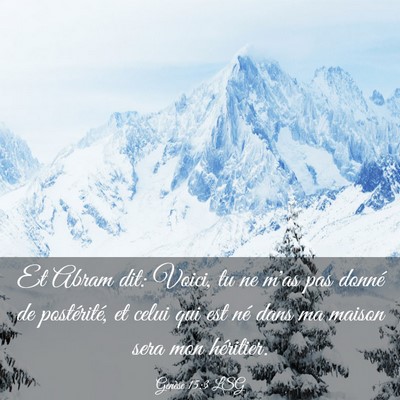Picture 03 - Genèse 15:3 LSG - Et Abram dit: Voici, tu ne m'as pas donné de - Bible Verse Picture