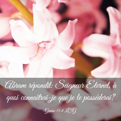 Picture 03 - Genèse 15:8 LSG - Abram répondit: Seigneur Eternel, à quoi - Bible Verse Picture