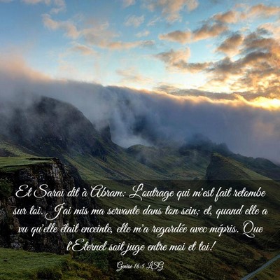 Picture 03 - Genèse 16:5 LSG - Et Saraï dit à Abram: L'outrage qui m'est fait - Bible Verse Picture